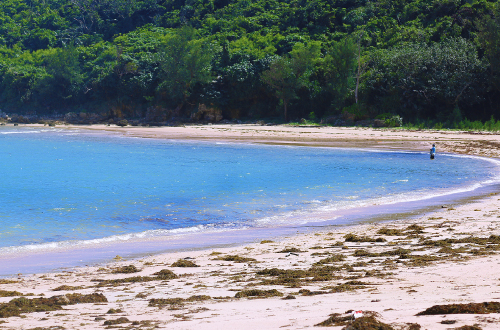 安部の海 海水浴には向かない地元の生活プライベートビーチ 沖縄の観光スポット ビーチまとめサイト