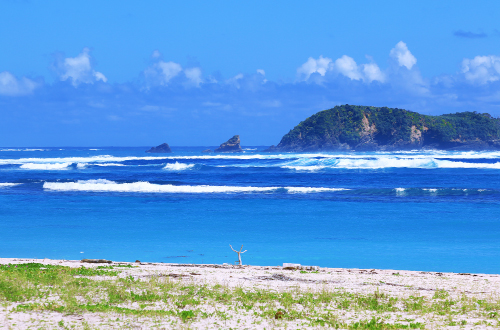 安田漁港海岸 釣り人さんいらっしゃ い 田舎ビーチを紹介するよ 沖縄の観光スポット ビーチまとめサイト