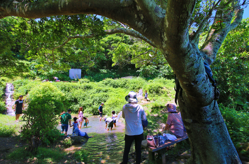 垣花樋川 は名水で知られるパワースポット 水遊びも楽しい 沖縄の観光スポット ビーチまとめサイト